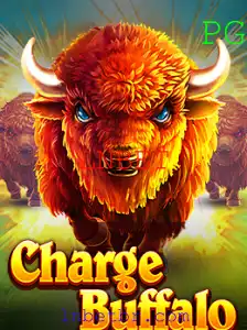 Tudo o que você Precisa Saber sobre ChargeBuffalo